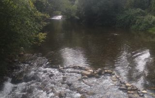 Río Pigüeña