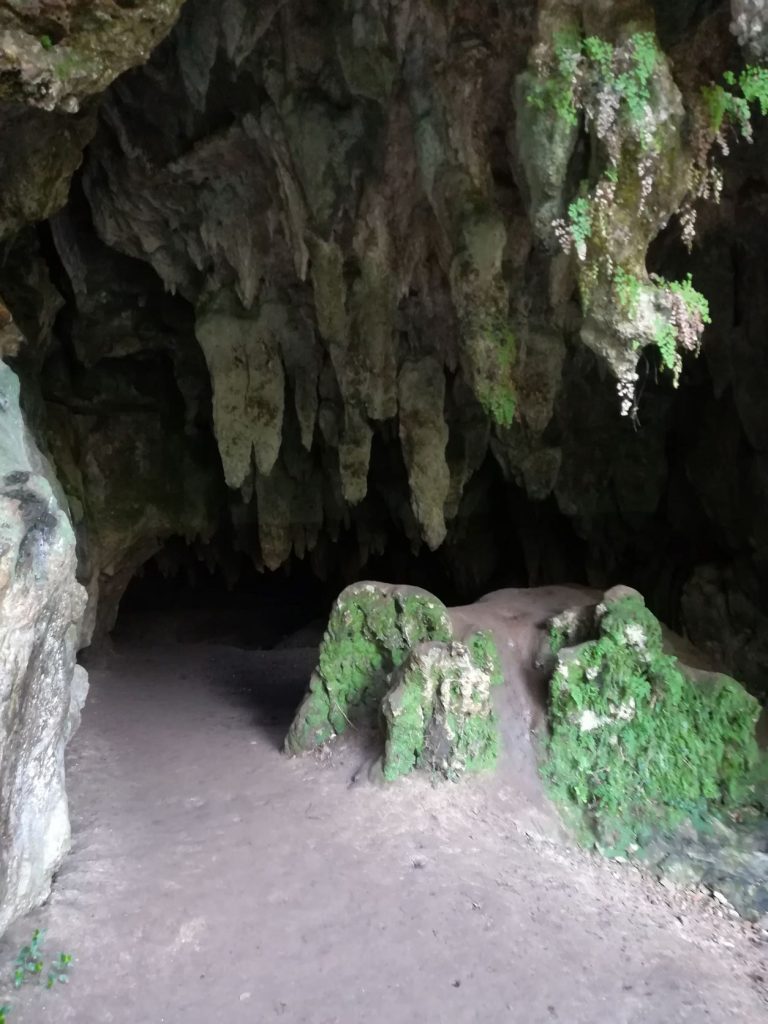 Cueva de las Raíces