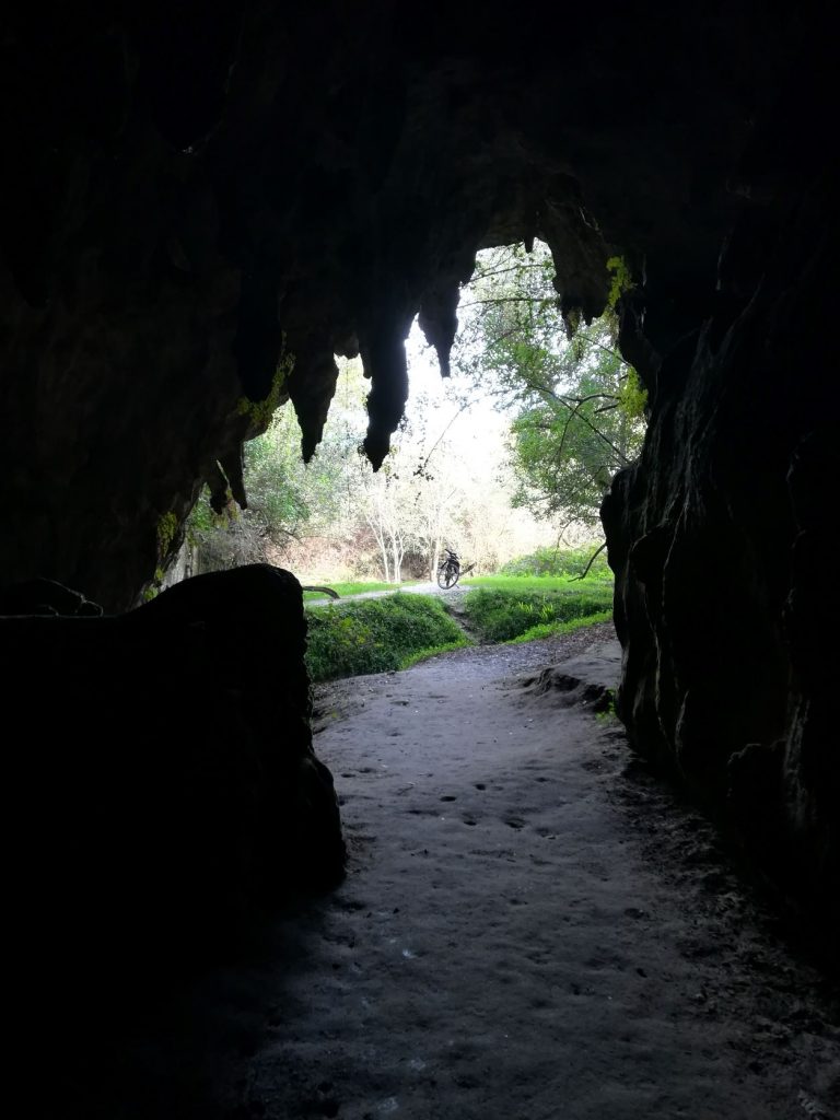 Interior de la cueva de las Raíces