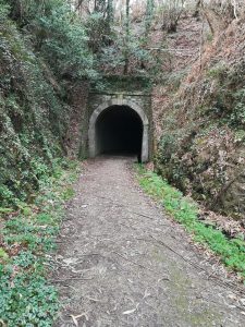 Túnel de la vía verde del Eo