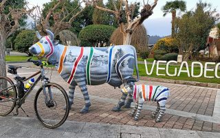 Homenaje a la vaca en Vegadeo