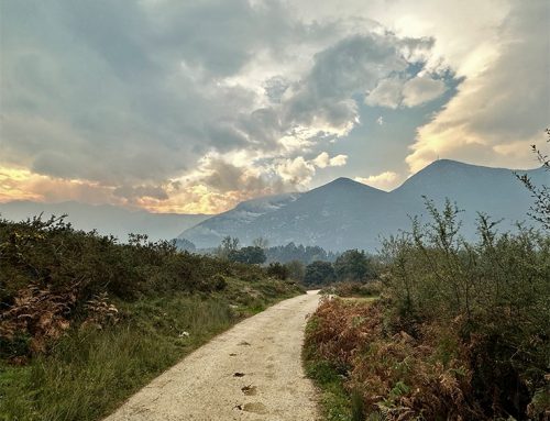 Caminitos de Porrúa