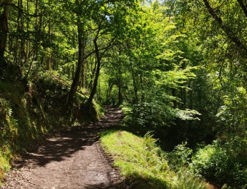 Un día de playa en Rodiles