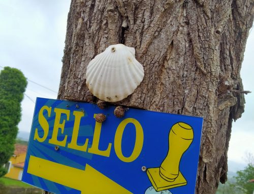 La primera del primitivo