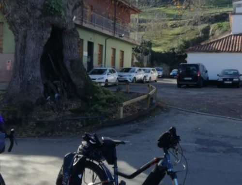 Paseo zona rural Gijon