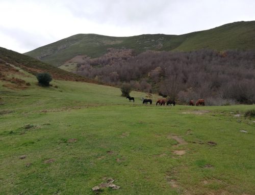 Rodeando la sierra de Dagüeño