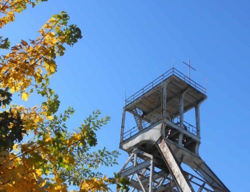 El cantu´l faisán 1