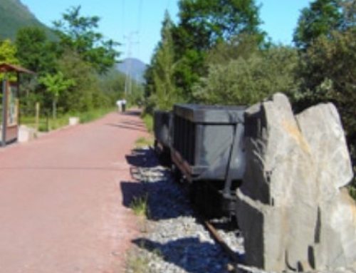 El cantu´l faisán 2