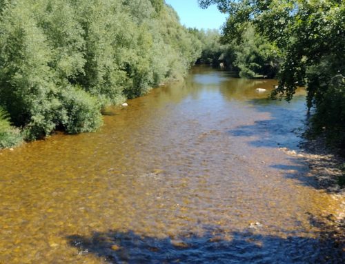 Órbigo, bici y canoa